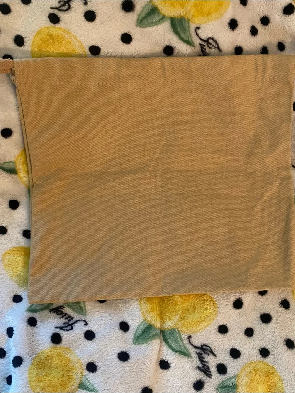Christian Louboutin Beige Dust Bag Pouch